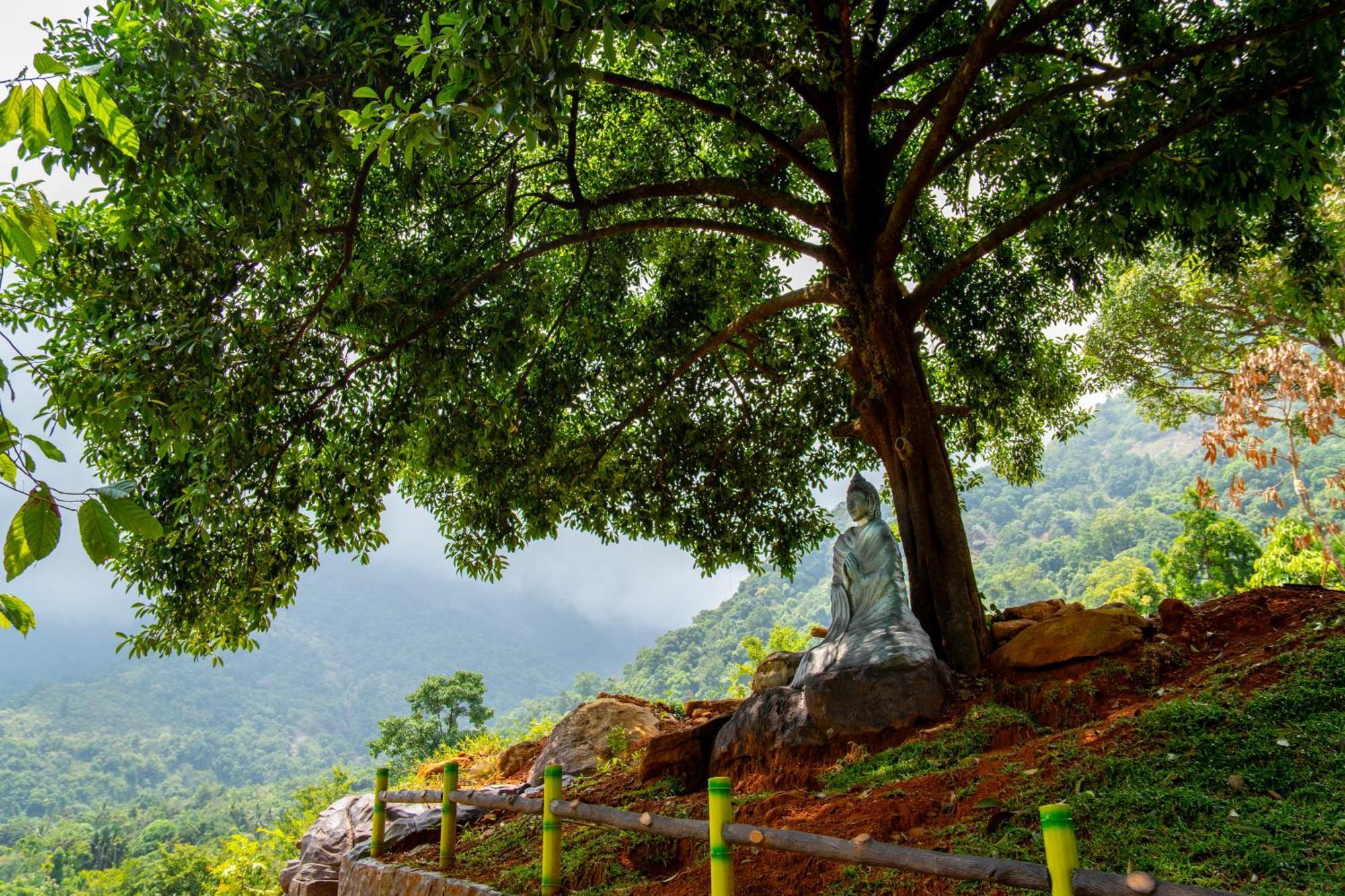 Karimb Resorts Vallikavungal Exterior foto