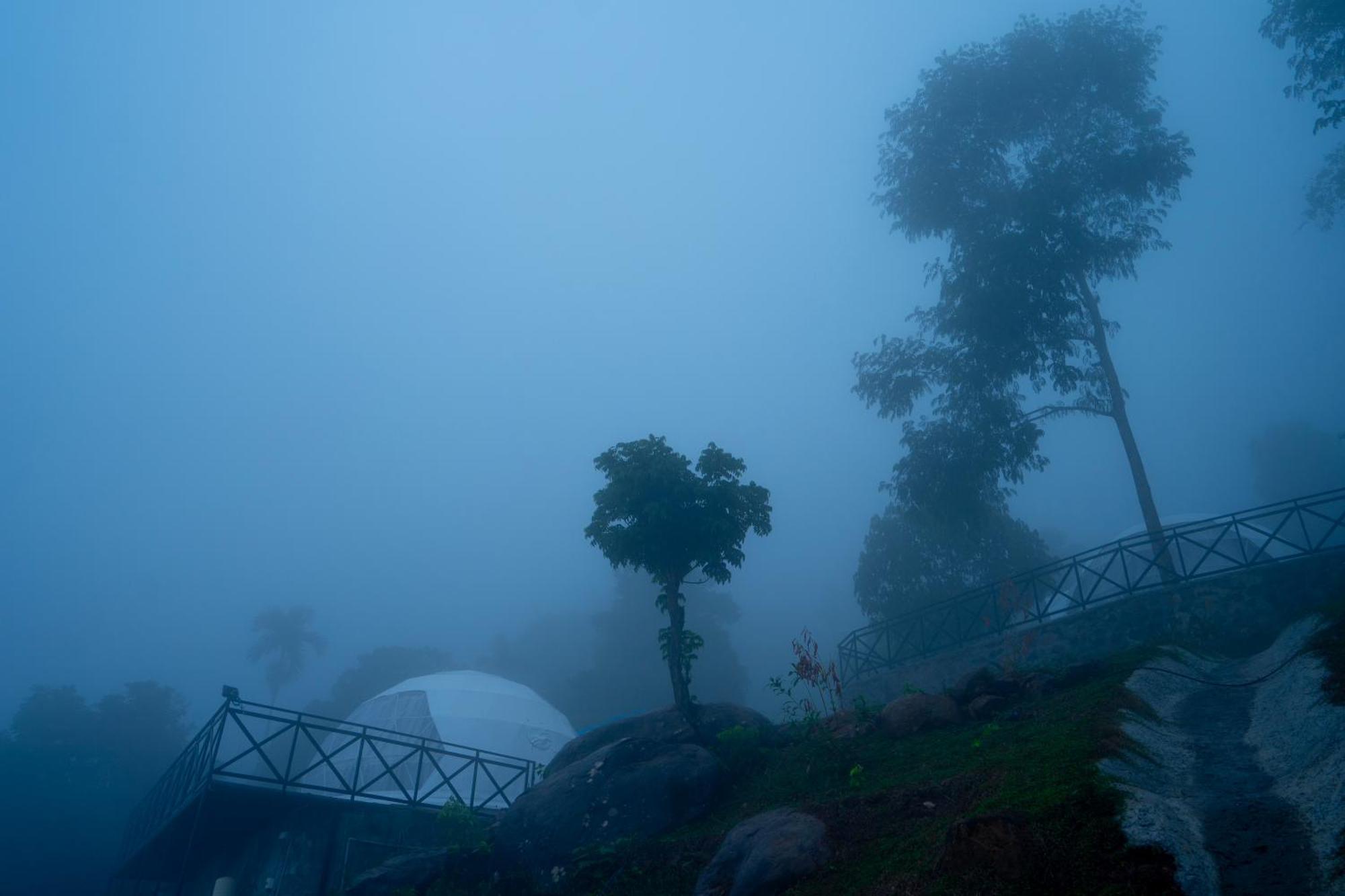 Karimb Resorts Vallikavungal Exterior foto